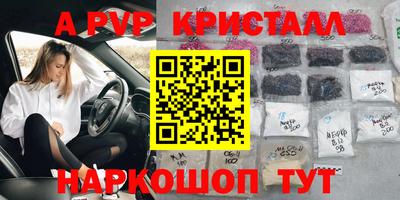 шишки Дубна