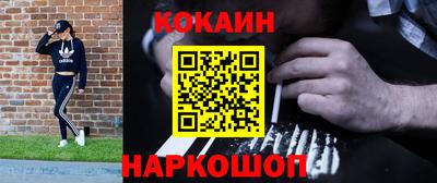 шишки Дубна