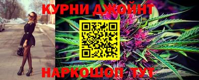 шишки Дубна