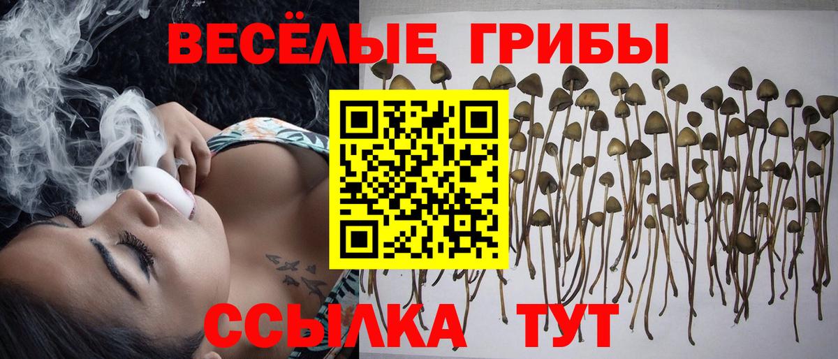 Мурманск  Галлюциногенные грибы Magic Shrooms  Псилоцибиновые грибы Magic Shrooms  Вход с VPN 