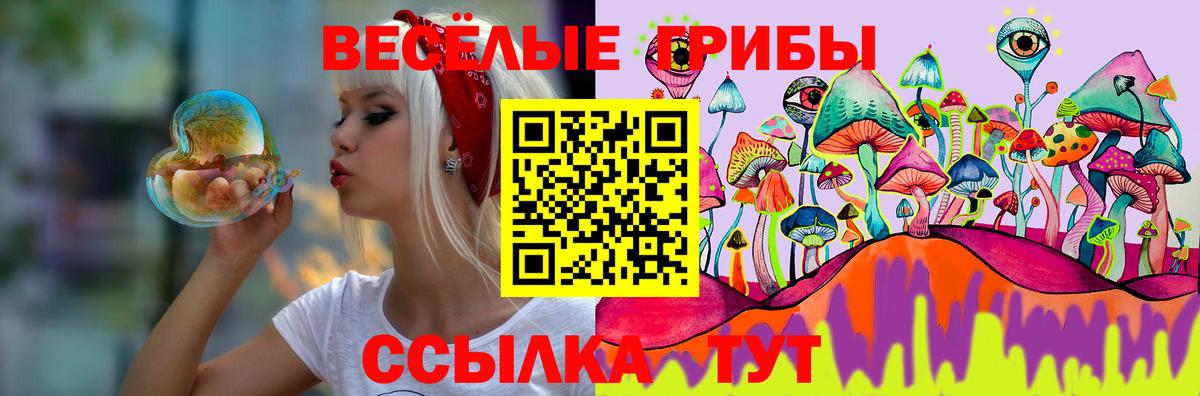Псилоцибиновые грибы Psilocybine cubensis Мурманск